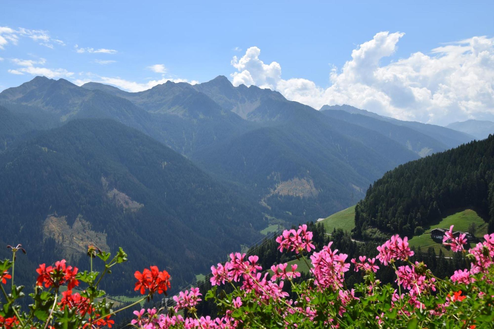 Ortlerhof Im Ultental - Urlaub Auf Dem Bauernhof Exterior foto